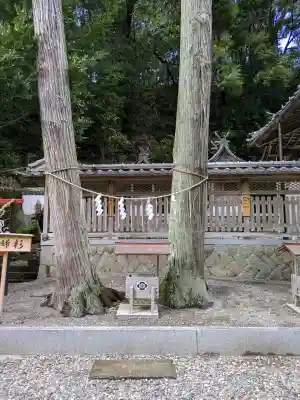 須佐神社の{uncategorized: "未分類", other: "その他", undefined: "問題あり", building: "その他建物", grave: "お墓", sacred_gate: "鳥居", guardian: "狛犬", statue: "像", buddha: "仏像", history: "歴史", nature: "自然", garden: "庭園", animal: "動物", pagoda: "塔", temizu: "手水舎", mountain_gate: "山門・神門", sanctuary: "本殿・本堂", subordinate: "末社・摂社", art: "芸術", scenery: "景色", jizo: "地蔵", ema: "絵馬", goshuin: "御朱印", omikuji: "おみくじ", items: "授与品その他", amulet: "お守り", goshuincho: "御朱印帳", eats: "食事", festival: "お祭り", votive_dance: "神楽", shichigosan: "七五三参", wedding: "結婚式", experience: "体験その他", initially: "初詣", around: "周辺", anti_infection: "感染症対策"}