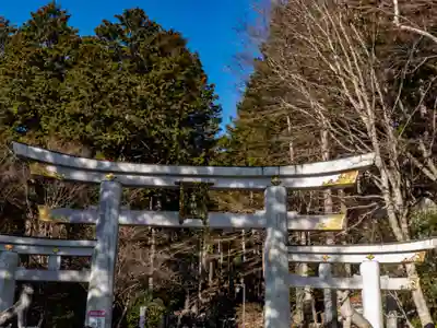 三峯神社の鳥居