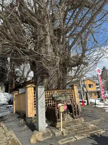 熊野大社(山形県)