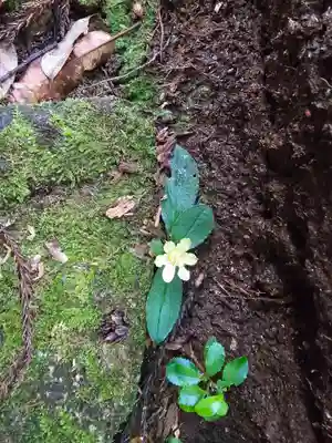 阿弥陀寺 奥之院浄土堂(和歌山県)