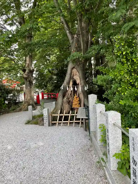 秩父今宮神社(埼玉県)
