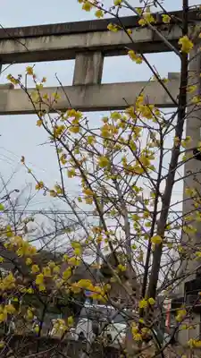 新日吉神宮(京都府)