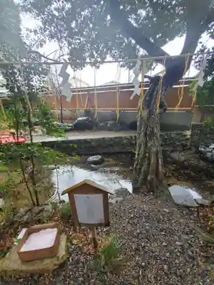 泉神社のその他建物