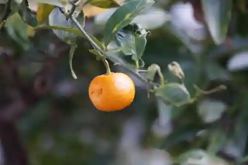 田村神社(香川県)