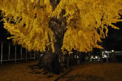 丹生酒殿神社の自然