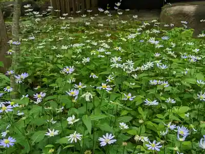 蓮華寺（洛北蓮華寺）(京都府)