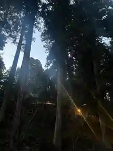 大宮温泉神社(栃木県)(2024年01月02日(火) 10時00分45秒投稿)