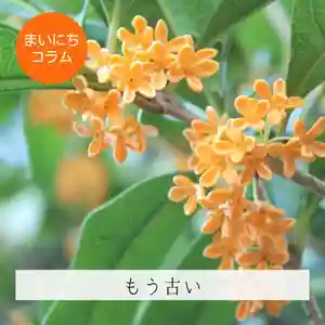 壽徳寺 じゅとくじ(福島県)(2022年09月30日(金) 21時27分49秒投稿)