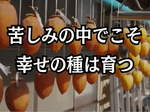 木舟山　順教寺(広島県)