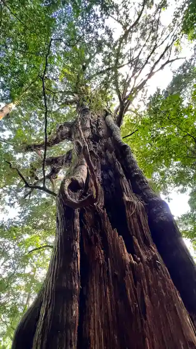 継桜王子(和歌山県)