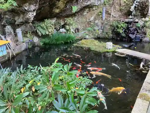 大山寺(神奈川県)