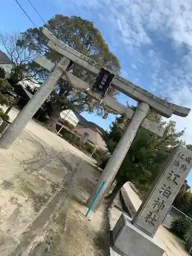 江泊神社の鳥居