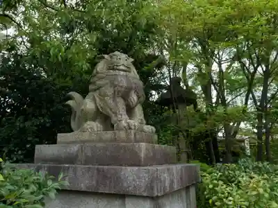 晴明神社の狛犬