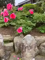 真言宗 善通寺派 薬王寺(香川県)