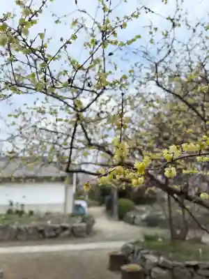 石光寺(奈良県)