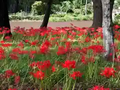 祖光院(千葉県)