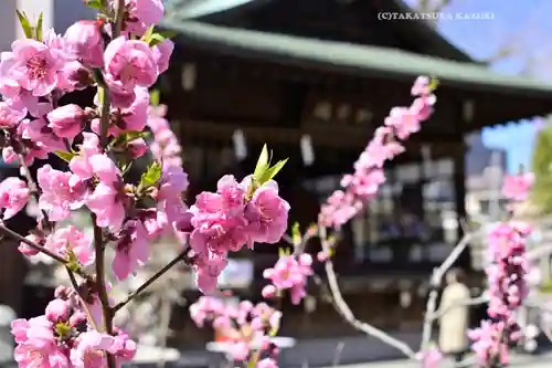 素盞雄神社(東京都)