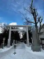 新琴似神社の鳥居