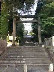 所澤神明社の鳥居