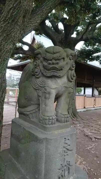 旗岡八幡神社の狛犬