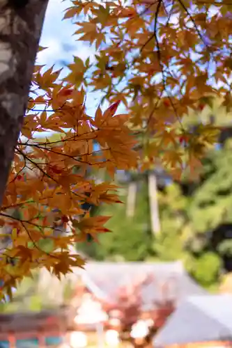 大原野神社(京都府)