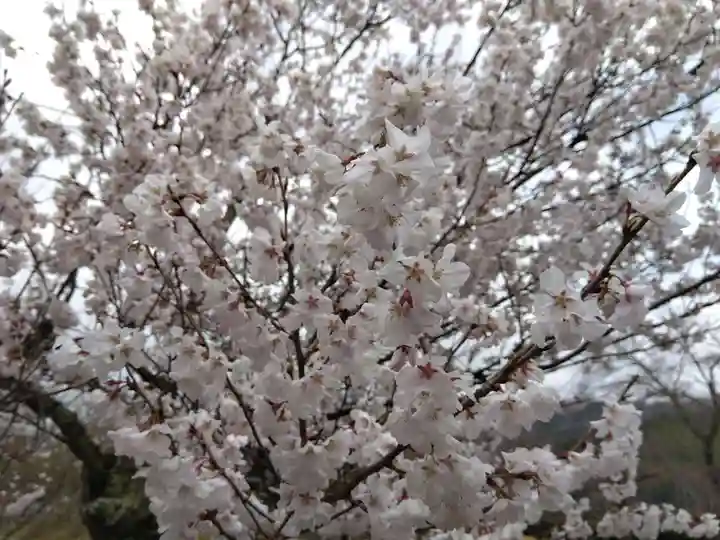 味真野神社(福井県)