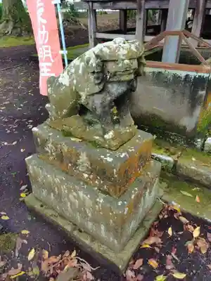 崇真寺(開運犬り切不動尊)(栃木県)