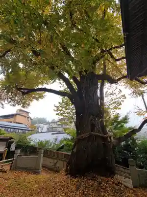 北向観音(長野県)