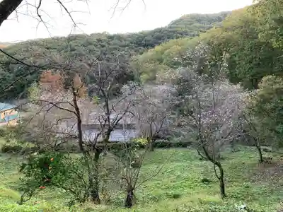 成身院　百体観音堂（さざえ堂）(埼玉県)