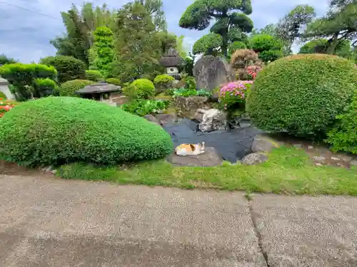 浄光院の庭園