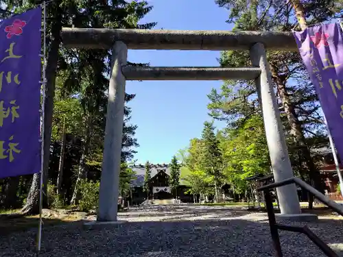 上川神社の鳥居