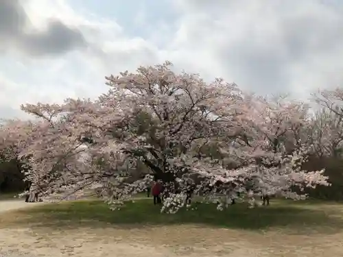 女化神社の自然