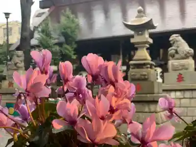 高円寺氷川神社の手水舎