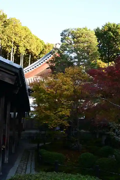 圓光寺(京都府)