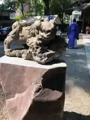 田無神社の狛犬