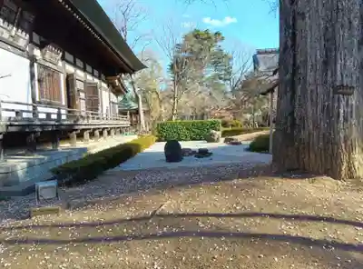 淨眞寺(東京都)