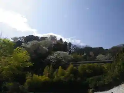 長谷寺のその他建物