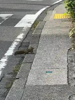 明月院(神奈川県)