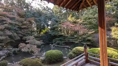隨心院(随心院)(京都府)