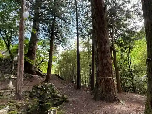 金櫻神社(山梨県)