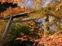 多治神社の鳥居