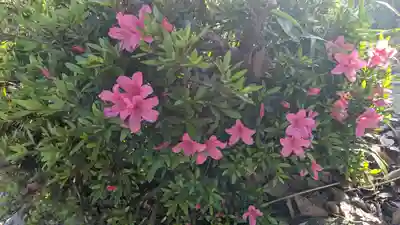 玉田神社(京都府)