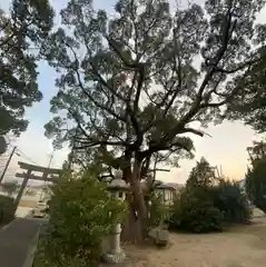 熊野神社(兵庫県)