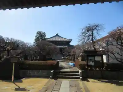 日曜寺(東京都)
