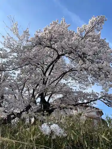 実相寺(山梨県)