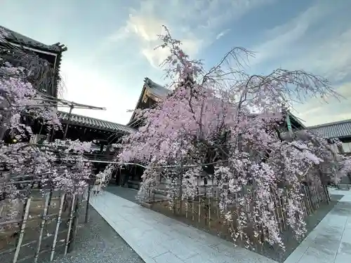 佛光寺(京都府)