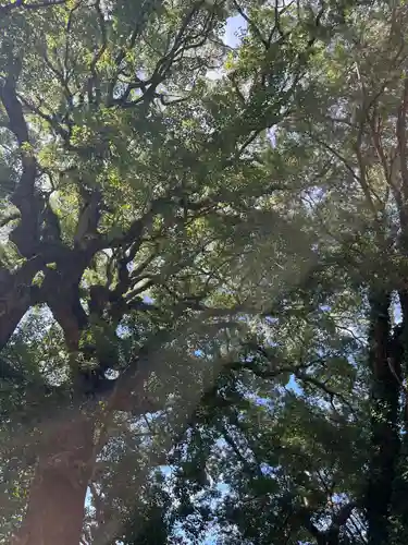 中川八幡神社(長崎県)