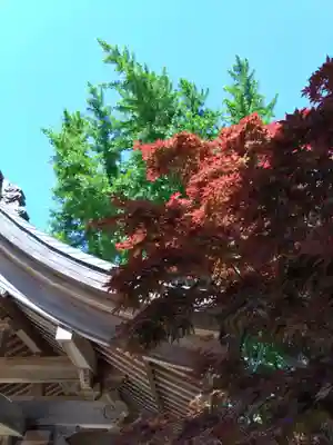 紅葉八幡宮の自然