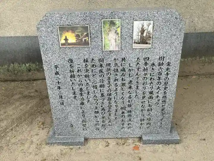 常光寺の{uncategorized: "未分類", other: "その他", undefined: "問題あり", building: "その他建物", grave: "お墓", sacred_gate: "鳥居", guardian: "狛犬", statue: "像", buddha: "仏像", history: "歴史", nature: "自然", garden: "庭園", animal: "動物", pagoda: "塔", temizu: "手水舎", mountain_gate: "山門・神門", sanctuary: "本殿・本堂", subordinate: "末社・摂社", art: "芸術", scenery: "景色", jizo: "地蔵", ema: "絵馬", goshuin: "御朱印", omikuji: "おみくじ", items: "授与品その他", amulet: "お守り", goshuincho: "御朱印帳", eats: "食事", festival: "お祭り", votive_dance: "神楽", shichigosan: "七五三参", wedding: "結婚式", experience: "体験その他", initially: "初詣", around: "周辺", anti_infection: "感染症対策"}