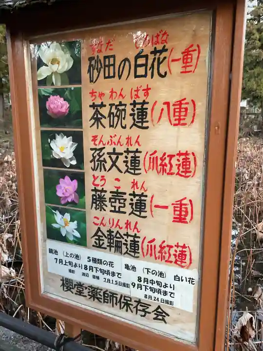 法妙寺(岐阜県)